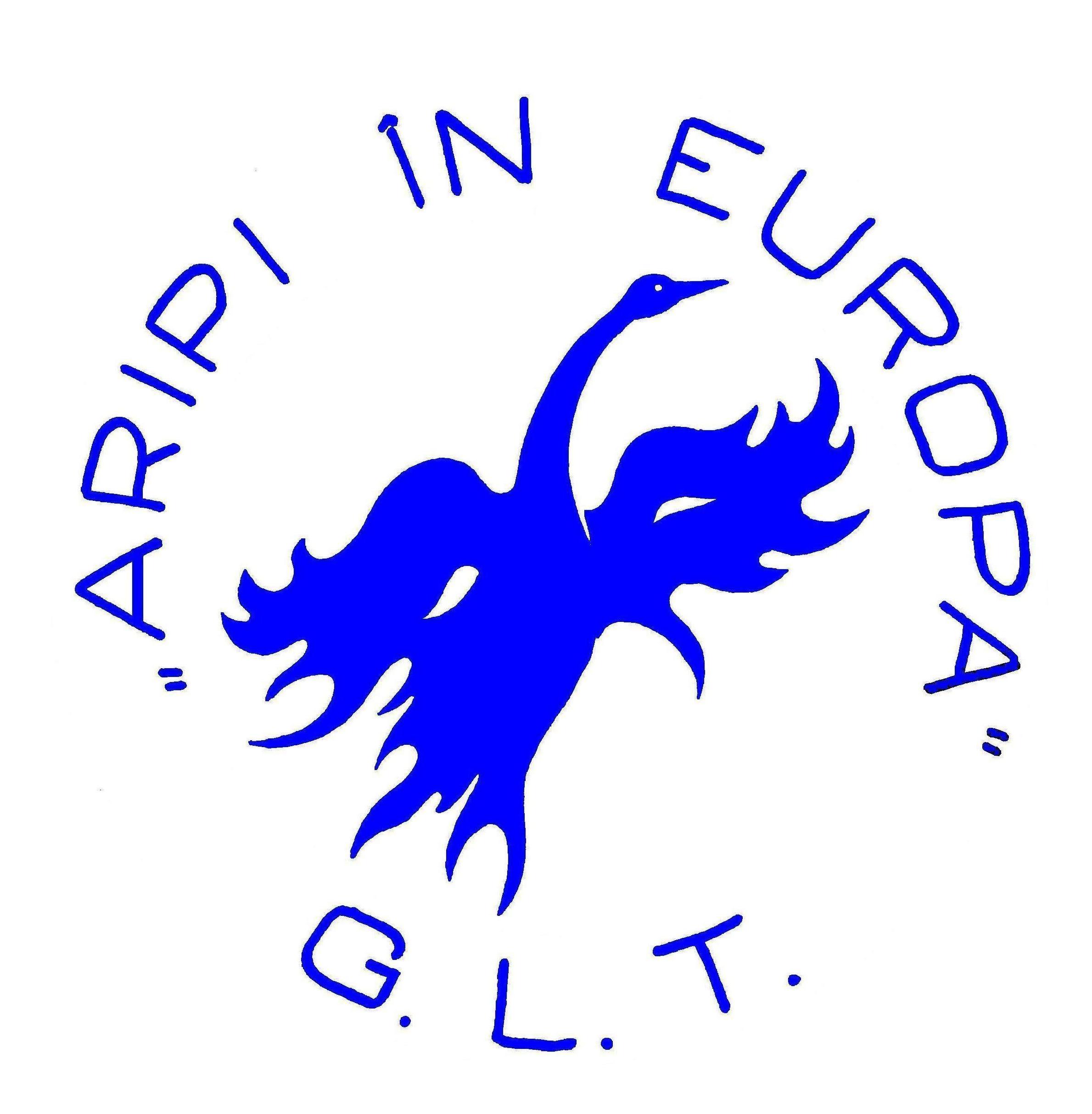 Grupul Local de Tineret Aripi in Europa